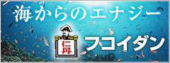 �t�R�C�_��